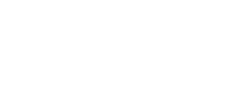 Brandon Hall Group Excellence Award
