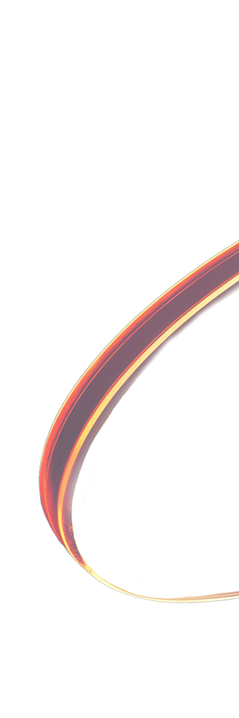 bfsi Icon