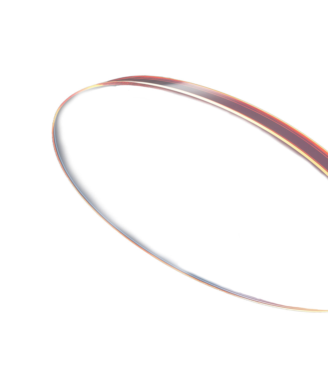bfsi Icon
